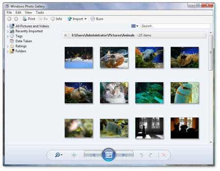 Windows Media Player 11