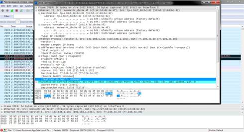 Wireshark просмотр содержимого пакета