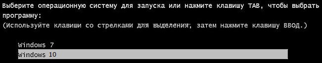 Выберите операционную систему для запуска или нажмите TAB