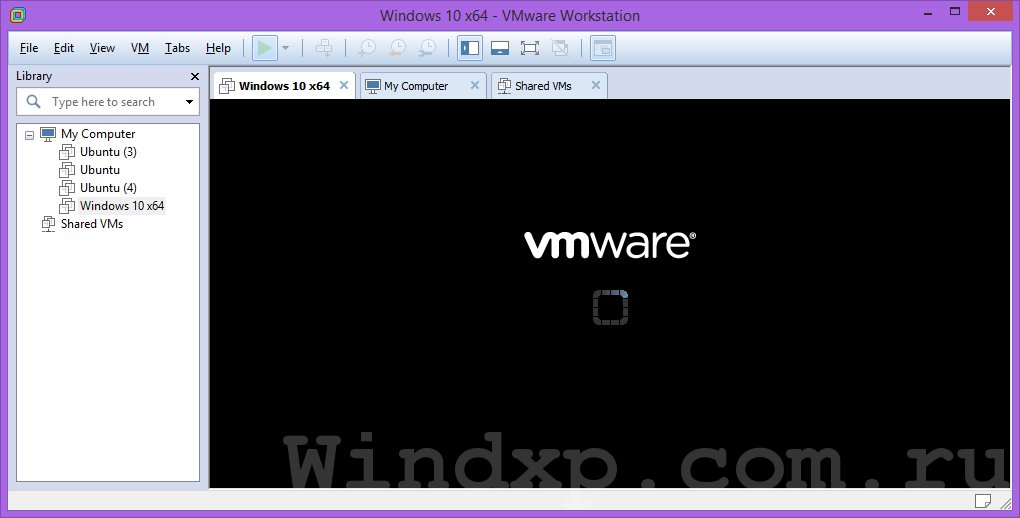 установите VM Ware